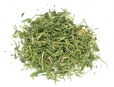 Алфалфа (Medicago sativa)